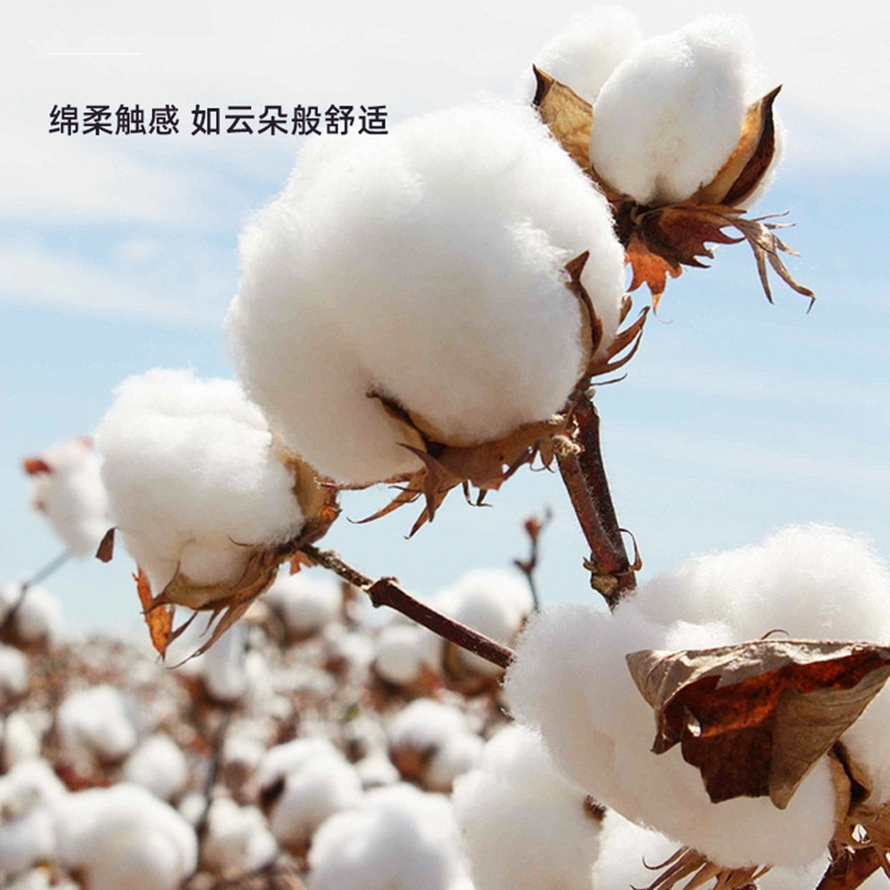 5.0/3.0/2.5mm Kauçuk Başlıklı  - Cotton Wick Organic incelemesi ve fiyatı